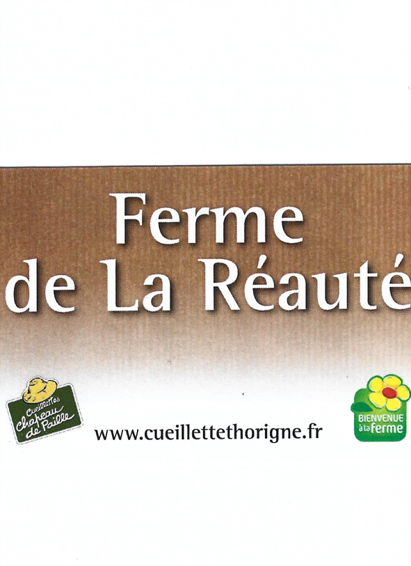 Réauté